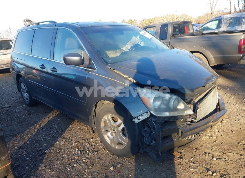 2006 Honda Odyssey EX-L (VIN 5FNRL38786B431469) main photo