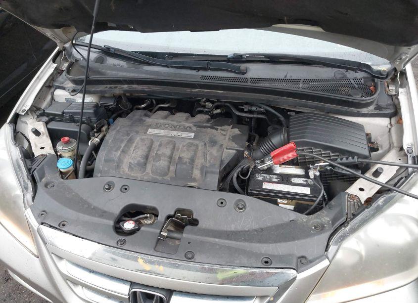 Photo 10 of 2006 Honda Odyssey EX-L (VIN 5FNRL38786B459269)