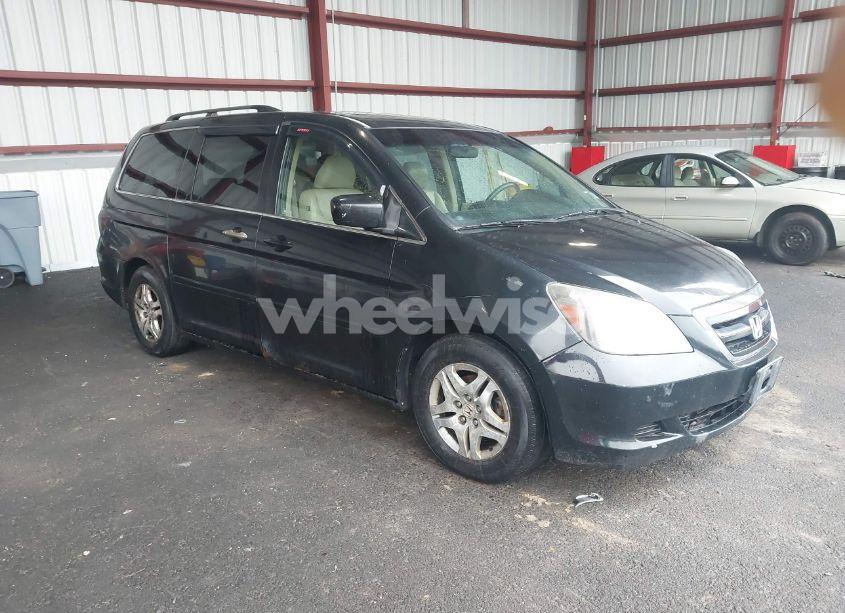 2007 Honda Odyssey EX-L (VIN 5FNRL38787B050884) main photo