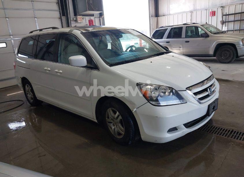 2007 Honda Odyssey EX-L (VIN 5FNRL38787B131819) main photo