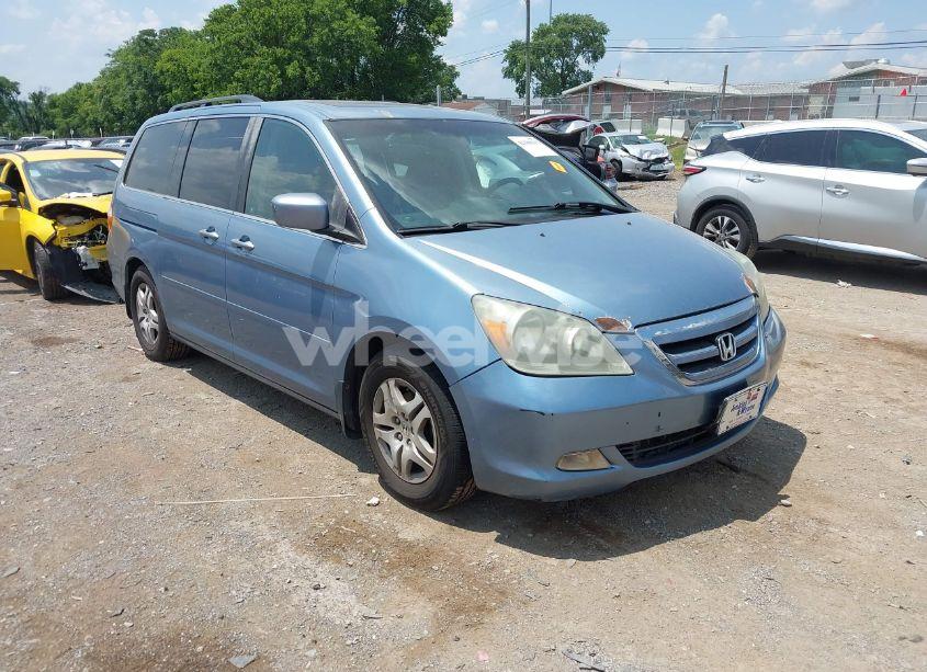 2007 Honda Odyssey EX-L (VIN 5FNRL38787B132565) main photo
