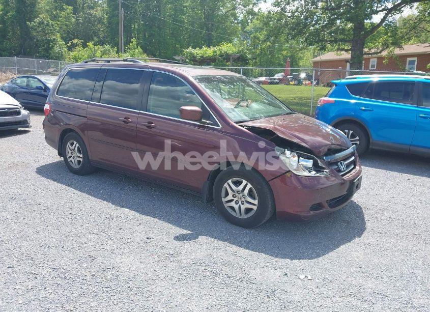 2007 Honda Odyssey EX-L (VIN 5FNRL38787B425592) main photo