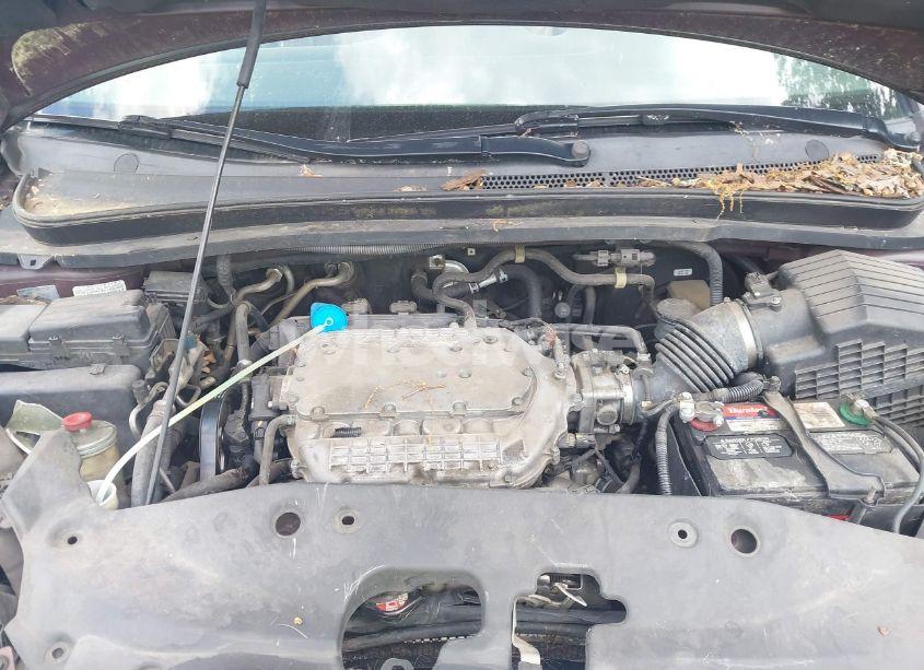 Photo 10 of 2007 Honda Odyssey EX-L (VIN 5FNRL38787B425592)