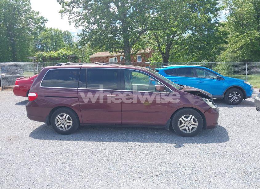 Photo 14 of 2007 Honda Odyssey EX-L (VIN 5FNRL38787B425592)