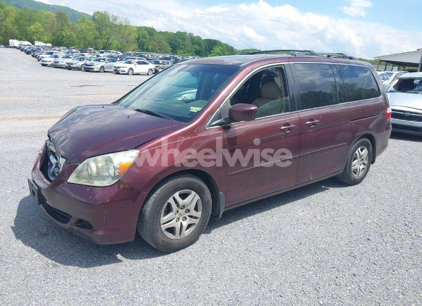 Photo 2 of 2007 Honda Odyssey EX-L (VIN 5FNRL38787B425592)