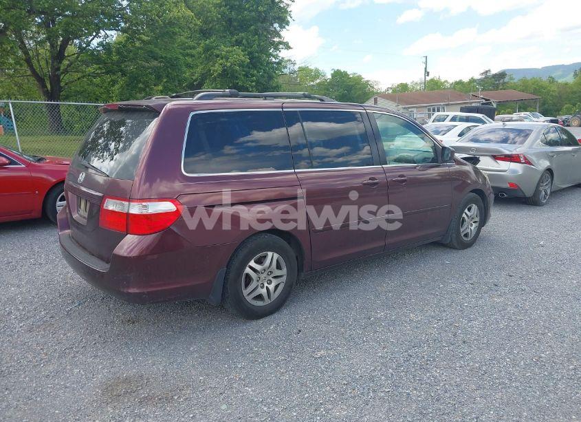 Photo 4 of 2007 Honda Odyssey EX-L (VIN 5FNRL38787B425592)
