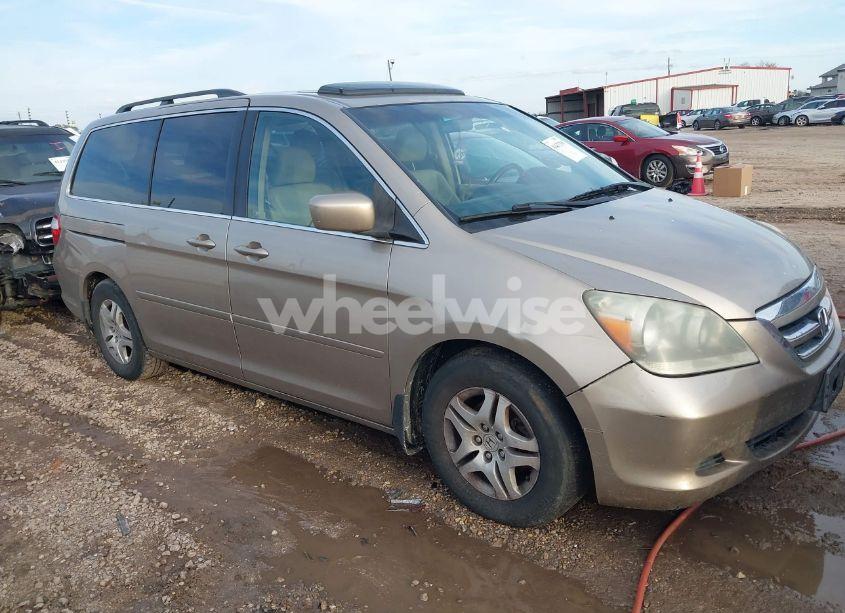 2007 Honda Odyssey EX-L (VIN 5FNRL38787B434471) main photo
