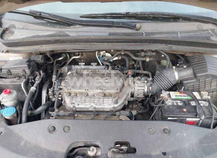 Photo 10 of 2007 Honda Odyssey EX-L (VIN 5FNRL38787B434471)