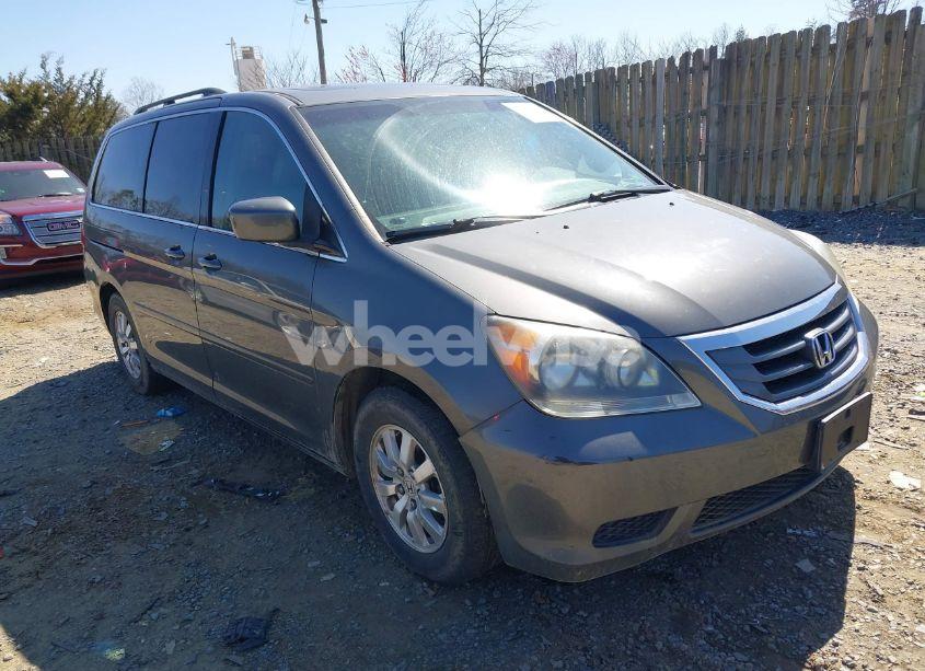 2008 Honda Odyssey EX-L (VIN 5FNRL38788B003033) main photo