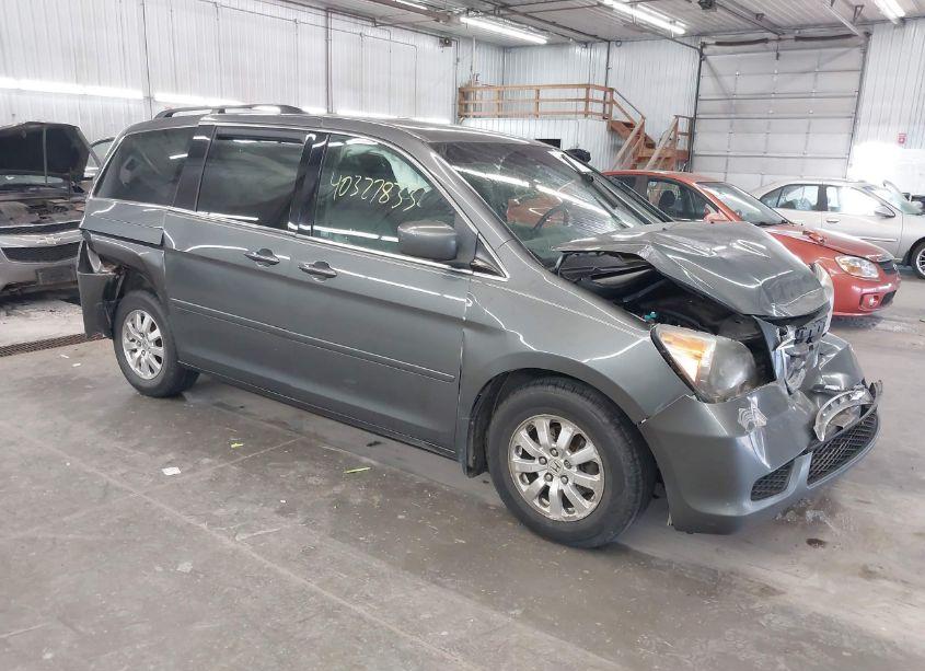 2008 Honda Odyssey EX-L (VIN 5FNRL38788B040552) main photo