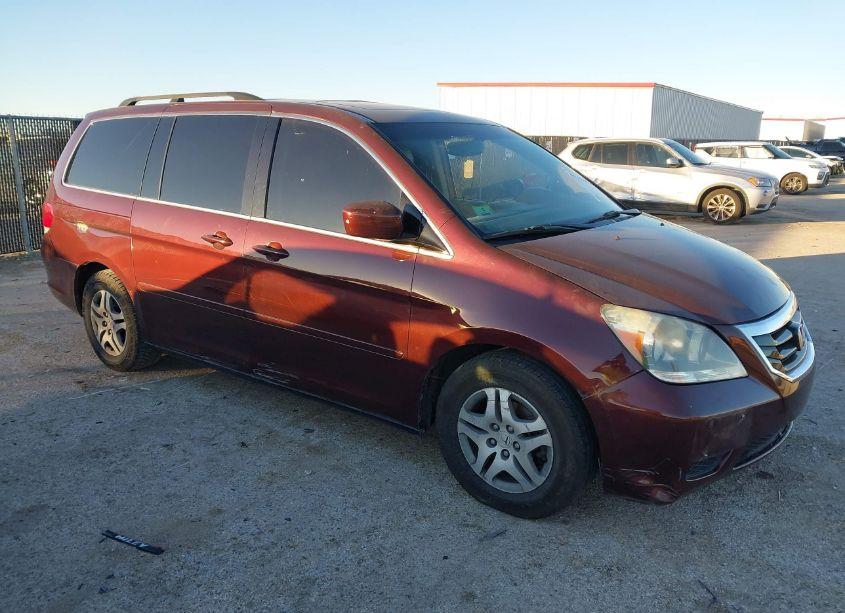 2008 Honda Odyssey EXL (VIN 5FNRL38788B045198) main photo