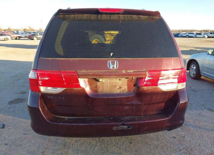 Photo 6 of 2008 Honda Odyssey EXL (VIN 5FNRL38788B045198)