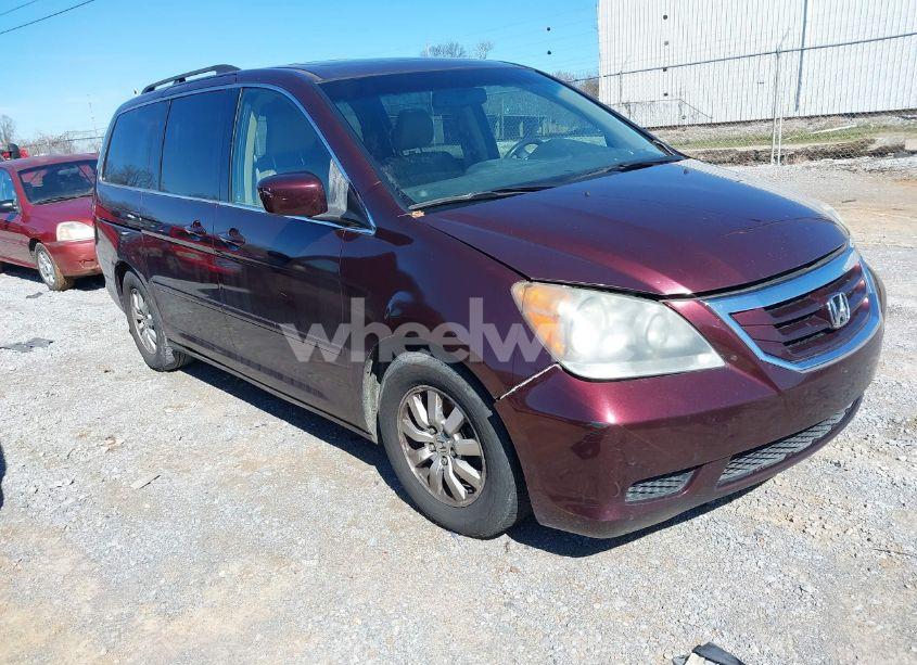 2009 Honda Odyssey EX-L (VIN 5FNRL38789B008220) main photo