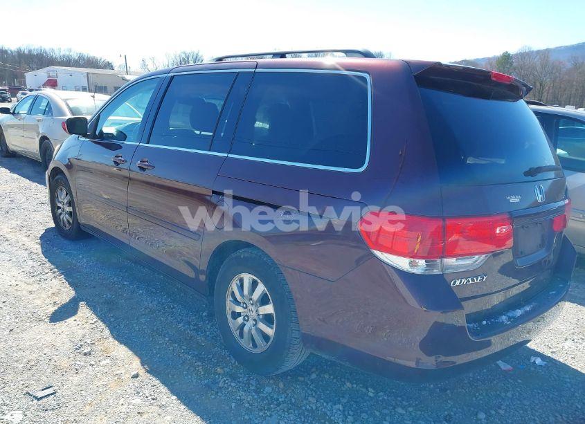 Photo 3 of 2009 Honda Odyssey EX-L (VIN 5FNRL38789B008220)