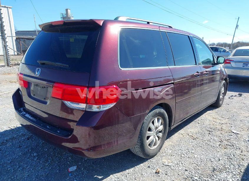Photo 4 of 2009 Honda Odyssey EX-L (VIN 5FNRL38789B008220)