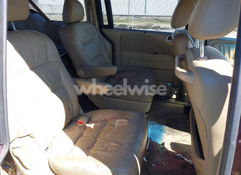 Photo 8 of 2009 Honda Odyssey EX-L (VIN 5FNRL38789B008220)