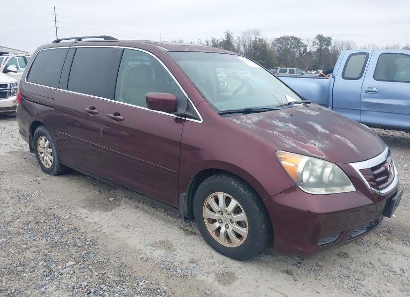 2009 Honda Odyssey EX-L (VIN 5FNRL38789B028841) main photo