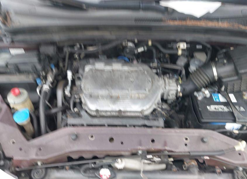 Photo 10 of 2009 Honda Odyssey EX-L (VIN 5FNRL38789B028841)