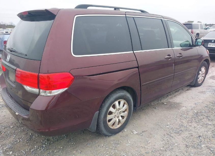 Photo 4 of 2009 Honda Odyssey EX-L (VIN 5FNRL38789B028841)