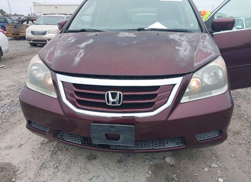 Photo 6 of 2009 Honda Odyssey EX-L (VIN 5FNRL38789B028841)