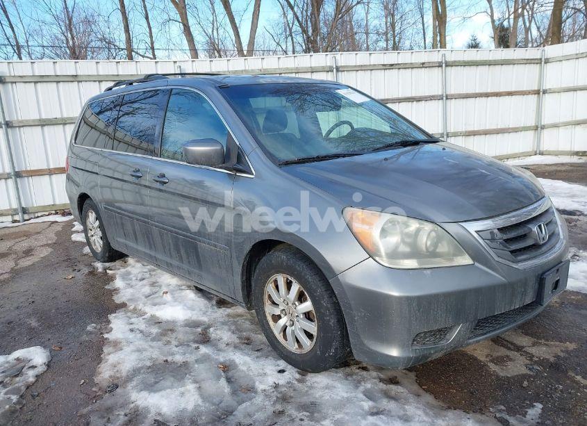 2009 Honda Odyssey EX-L (VIN 5FNRL38789B408889) main photo