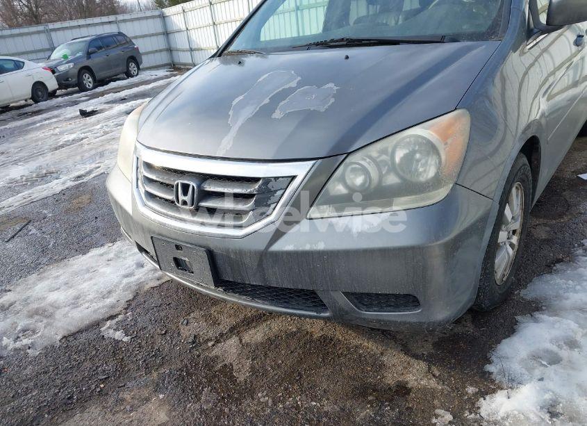 Photo 6 of 2009 Honda Odyssey EX-L (VIN 5FNRL38789B408889)