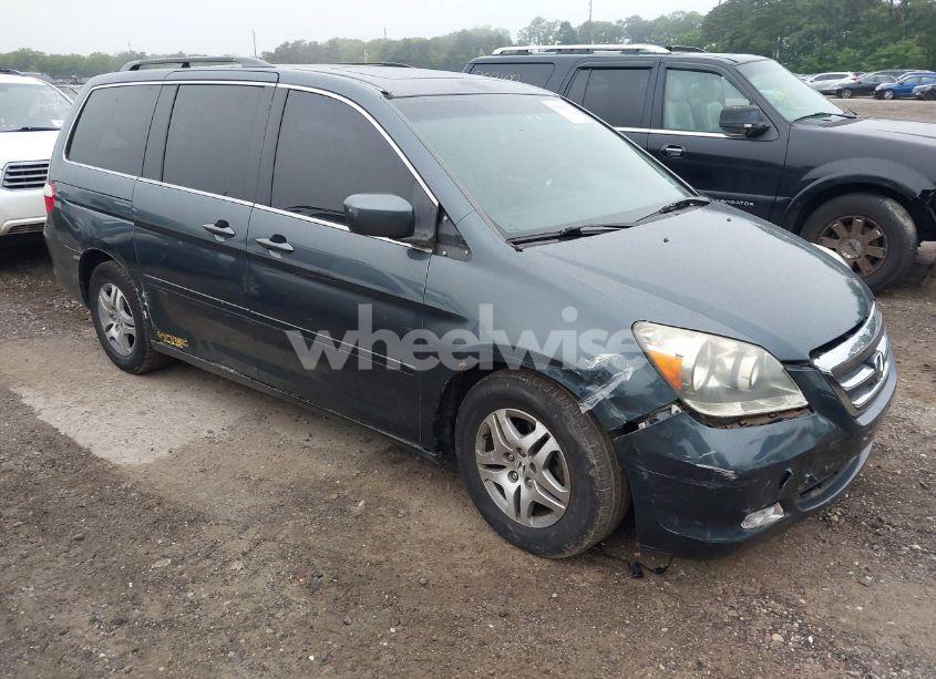 2005 Honda Odyssey EX-L (VIN 5FNRL38795B068209) main photo