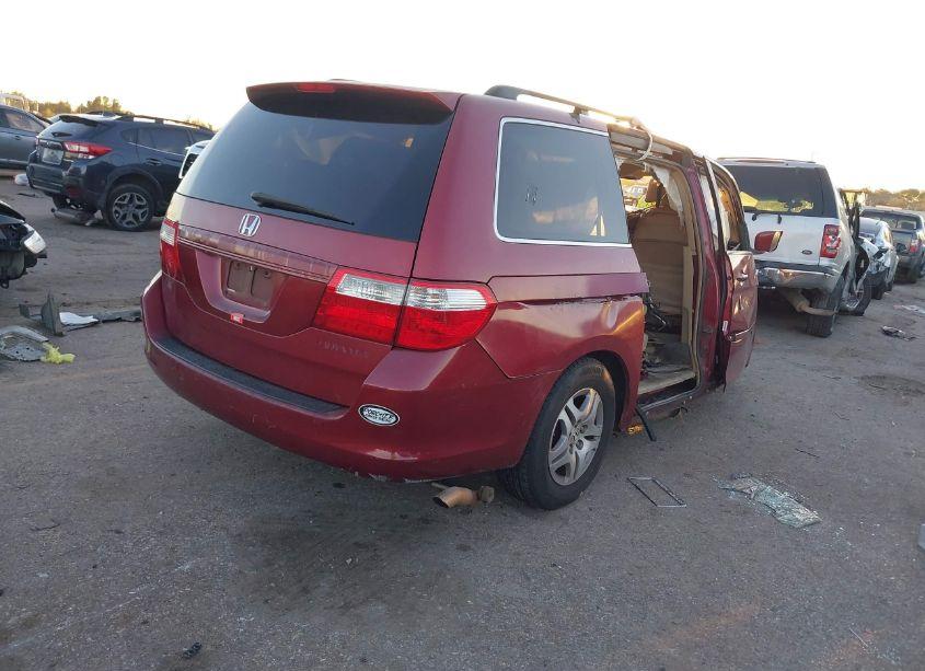 Photo 4 of 2005 Honda Odyssey EX-L (VIN 5FNRL38795B124391)