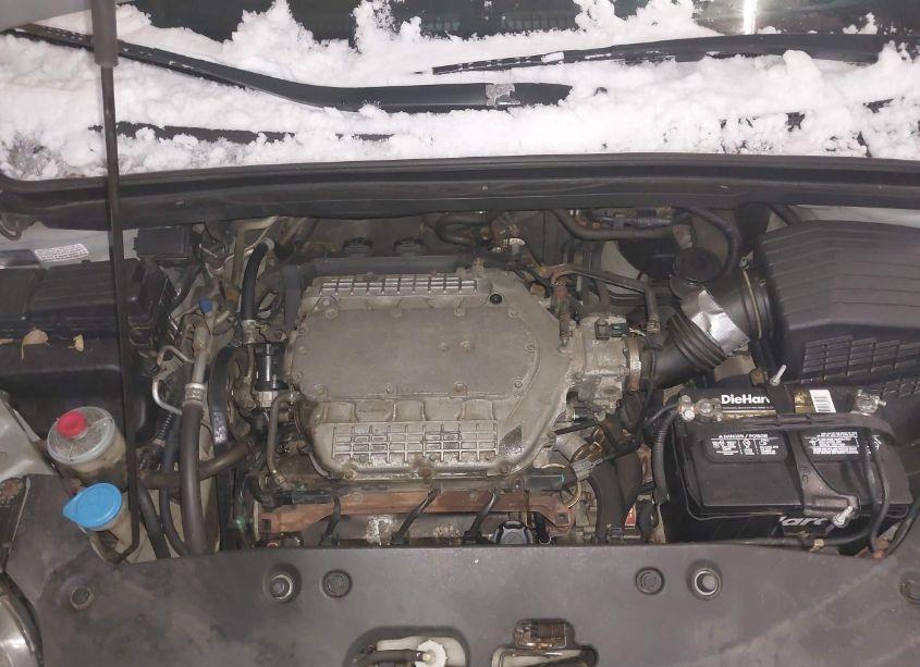 Photo 10 of 2006 Honda Odyssey EX-L (VIN 5FNRL38796B087506)