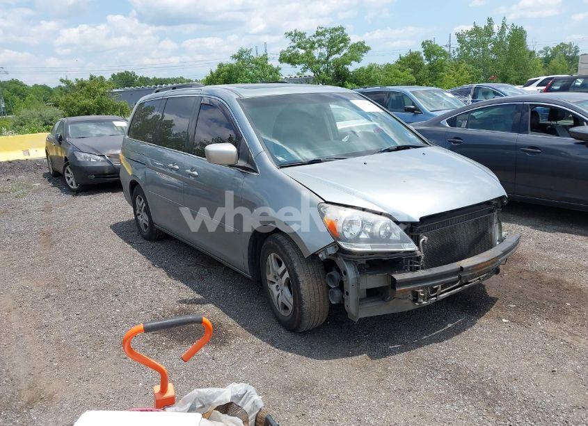 2007 Honda Odyssey EX-L (VIN 5FNRL38797B008532) main photo