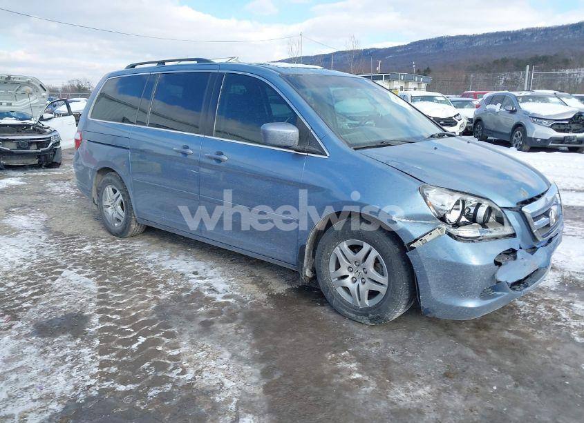 2007 Honda Odyssey EX-L (VIN 5FNRL38797B031504) main photo