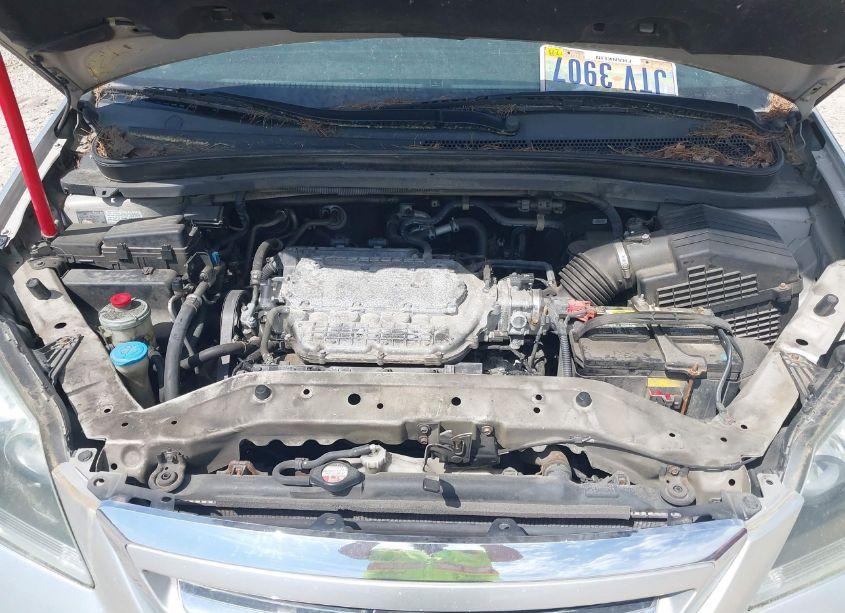 Photo 10 of 2007 Honda Odyssey EX-L (VIN 5FNRL38797B042602)