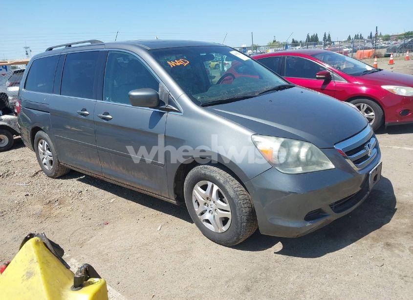 2007 Honda Odyssey EX-L (VIN 5FNRL38797B137595) main photo