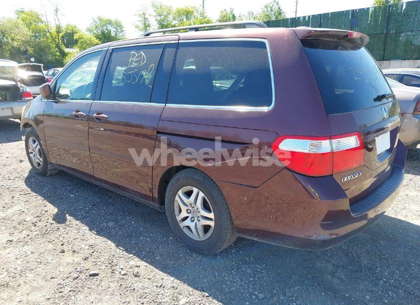 Photo 3 of 2007 Honda Odyssey EX-L (VIN 5FNRL38797B426945)