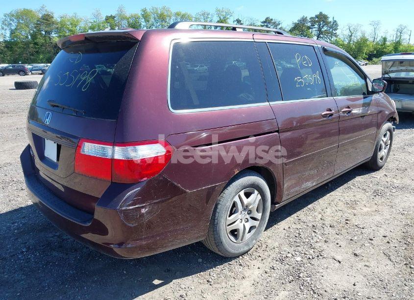 Photo 4 of 2007 Honda Odyssey EX-L (VIN 5FNRL38797B426945)