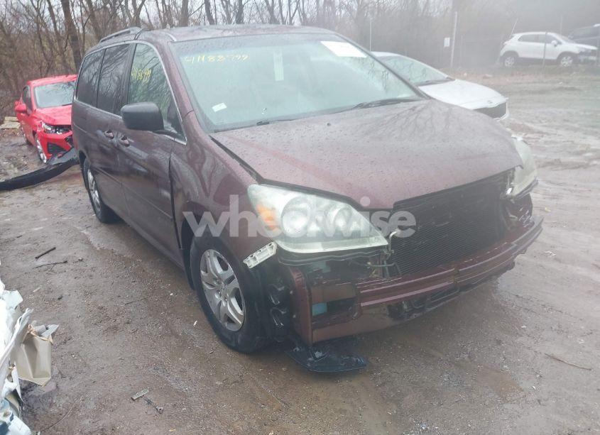 2007 Honda Odyssey EX-L (VIN 5FNRL38797B455779) main photo