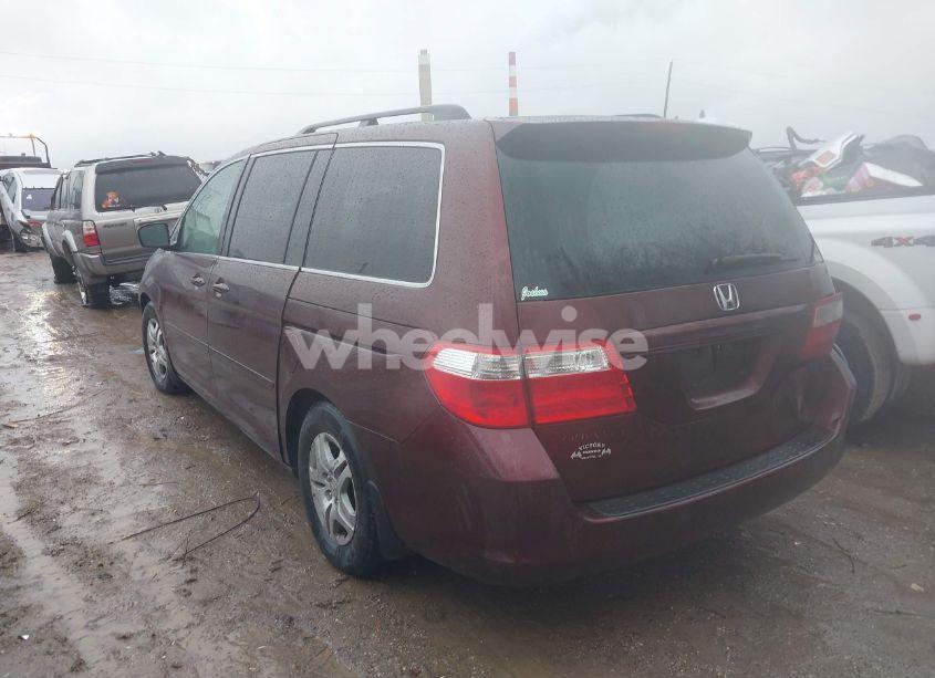 Photo 3 of 2007 Honda Odyssey EX-L (VIN 5FNRL38797B455779)