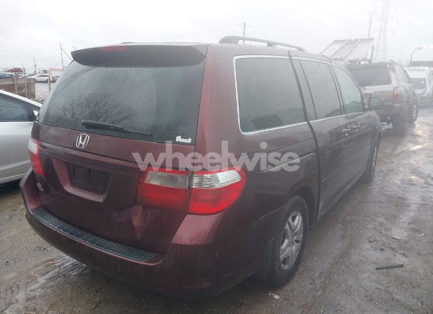 Photo 4 of 2007 Honda Odyssey EX-L (VIN 5FNRL38797B455779)