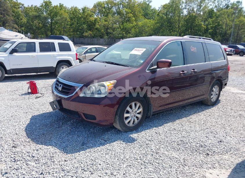 Photo 2 of 2008 Honda Odyssey EX-L (VIN 5FNRL38798B087587)