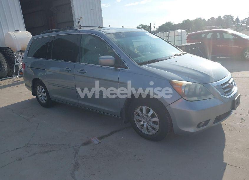 2009 Honda Odyssey EX-L (VIN 5FNRL38799B005021) main photo