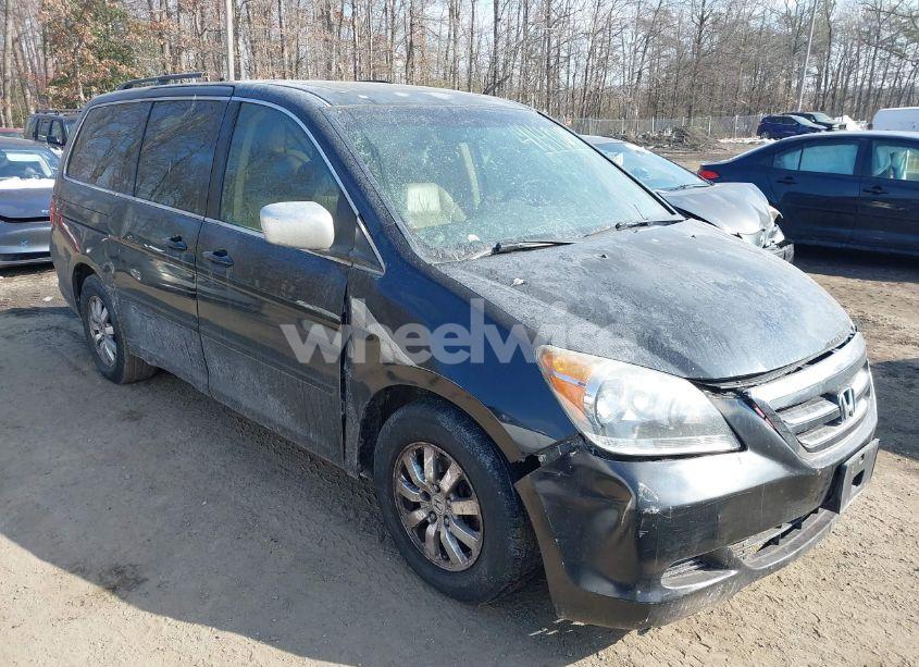 2009 Honda Odyssey EX-L (VIN 5FNRL38799B055384) main photo