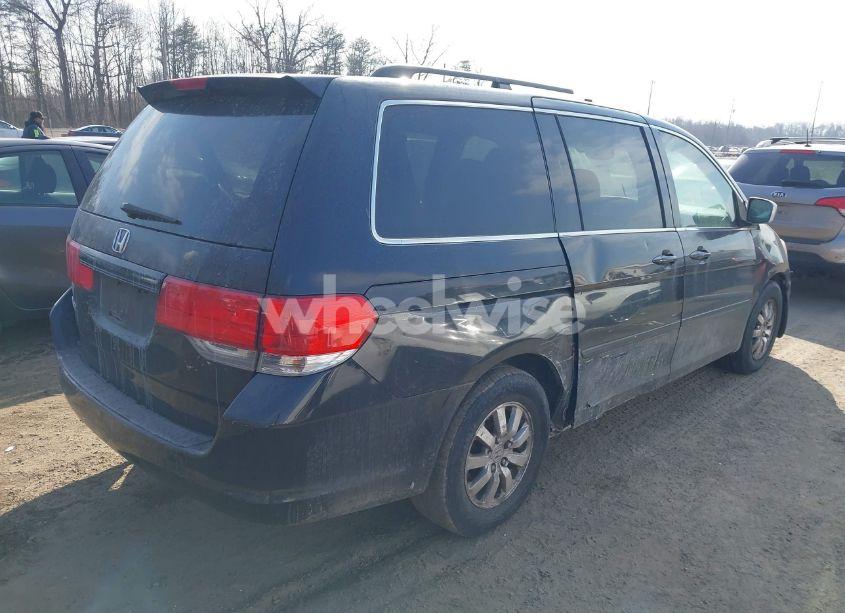 Photo 4 of 2009 Honda Odyssey EX-L (VIN 5FNRL38799B055384)