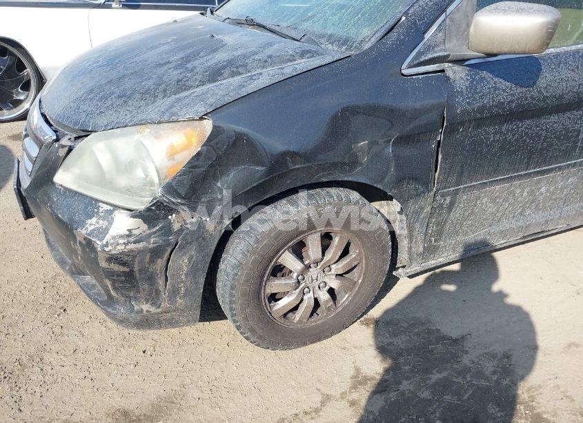 Photo 6 of 2009 Honda Odyssey EX-L (VIN 5FNRL38799B055384)