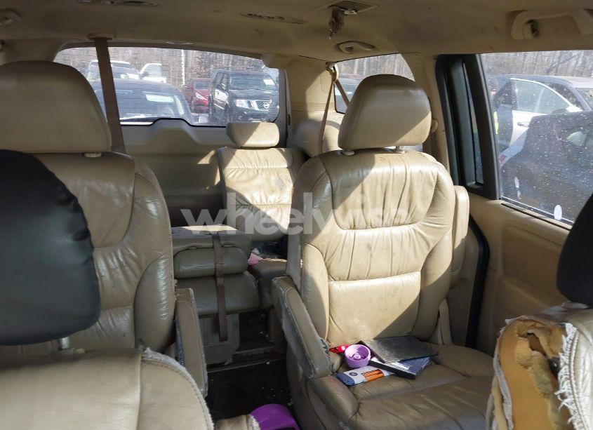 Photo 8 of 2009 Honda Odyssey EX-L (VIN 5FNRL38799B055384)