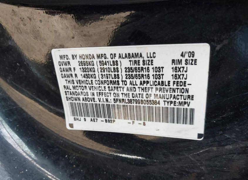 Photo 9 of 2009 Honda Odyssey EX-L (VIN 5FNRL38799B055384)