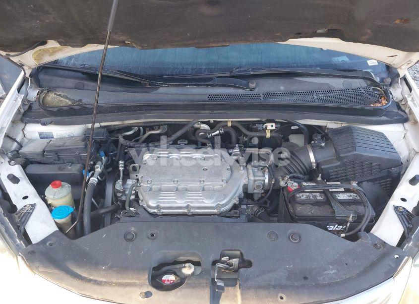 Photo 10 of 2009 Honda Odyssey EX-L (VIN 5FNRL38799B404379)