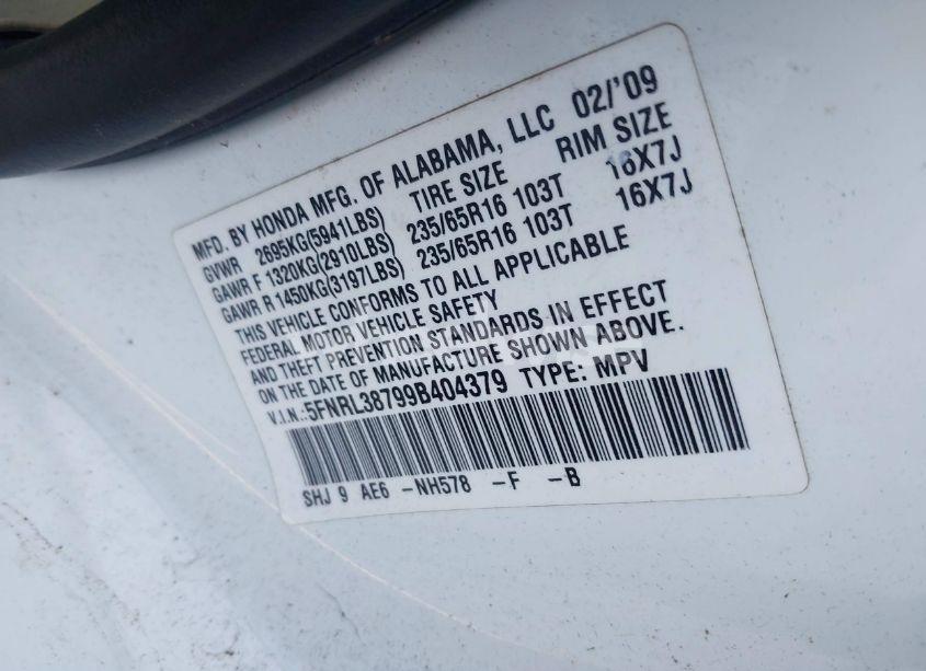 Photo 9 of 2009 Honda Odyssey EX-L (VIN 5FNRL38799B404379)