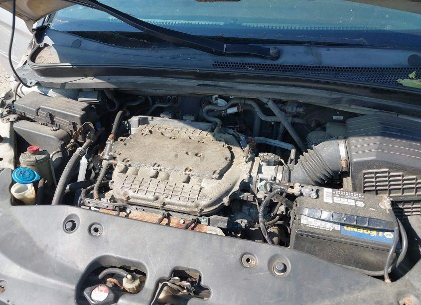 Photo 10 of 2005 Honda Odyssey EX-L (VIN 5FNRL387X5B022646)