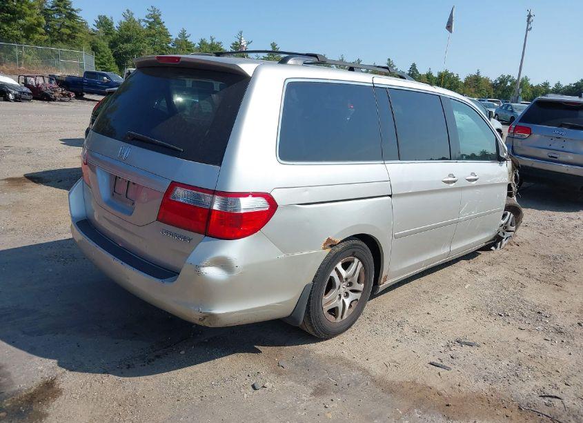 Photo 4 of 2005 Honda Odyssey EX-L (VIN 5FNRL387X5B022646)