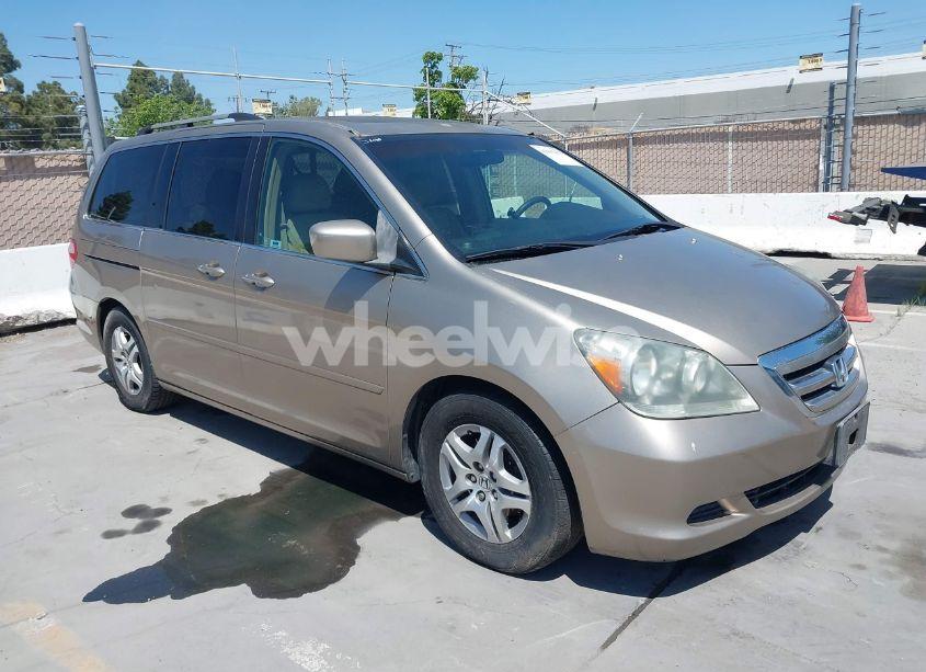 2005 Honda Odyssey EX-L (VIN 5FNRL387X5B082152) main photo